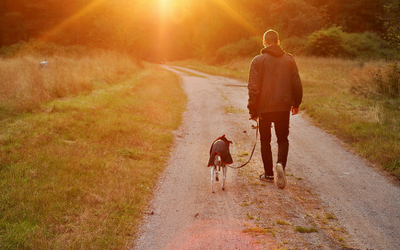 image for February is Responsible Pet Ownership Month