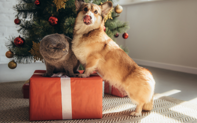 image for Holiday Gift Ideas for Pets